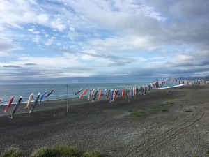 鯉のぼり