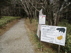 スタート