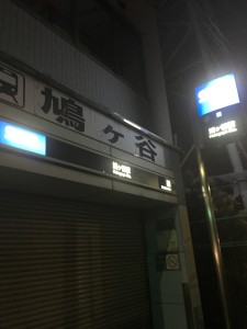 hatogaya